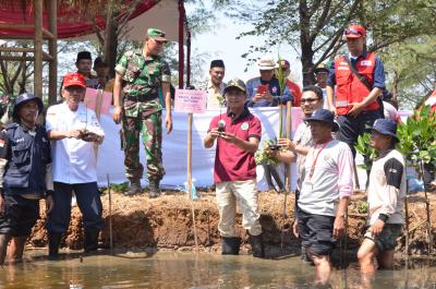 pmi-batang-miliki-pusat-edukasi-mangrove