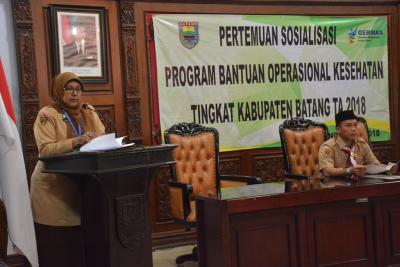 bok-menitikberatkan-pada-penurunan-kematian-ibu-hamil-dan-stunting