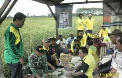 Babinsa Dampingi Petani Agar Panen Padi Melimpah