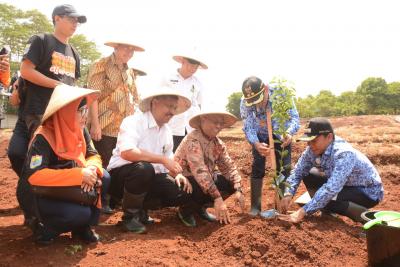 bupati-inginkan-batang-sebagai-kawasan-agrowisata-jeruk