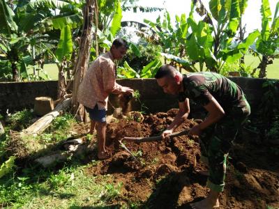 pemanfaatan-lahan-kosong-untuk-ketahanan-pangan