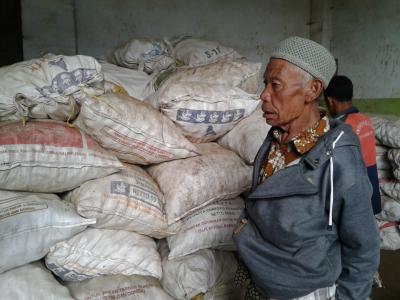 pasca-serangan-embun-upas-petani-kentang-desa-gerlang-merugi