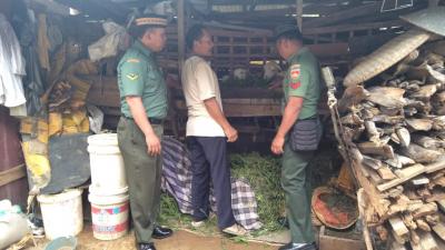 tak-hanya-pertanian-tetapi-babinsa-ini-juga-piawai-dalam-urusan-peternakan