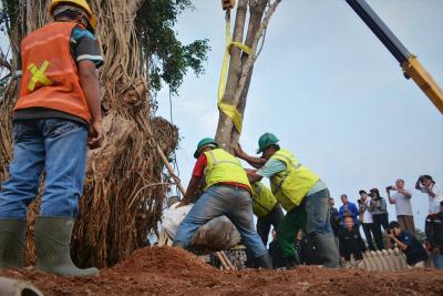 kabupaten-batang-tunjukkan-eksistensinya-melalui-ritual-ceblok-tandur-waringin