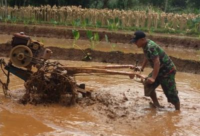percepat-masa-tanam-babinsa-bantu-petani-olah-lahan