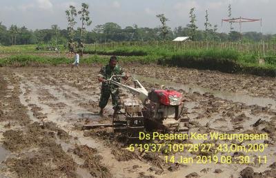 koramil-warungasem-dukung-swasembada-pangan