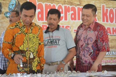 batu-akik-nusantara-sebagai-warisan-leluhur