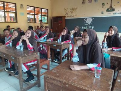 pil-cantik-kurangi-anemia-remaja-putri