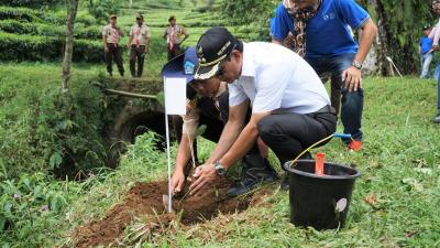 penanaman-pohon-wujud-peduli-ekosistem-lingkungan