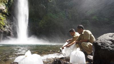 Tambah Populasi Ikan di Perairan Umum Dengan Tebar Benih