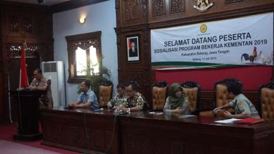 ribuan-rtm-di-batang-terima-doc-bibit-ayam