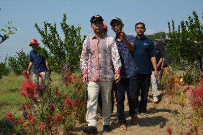Bupati Batang Ingin Ciptakan Agrowisata Kebun Jeruk di Desa Pesaren