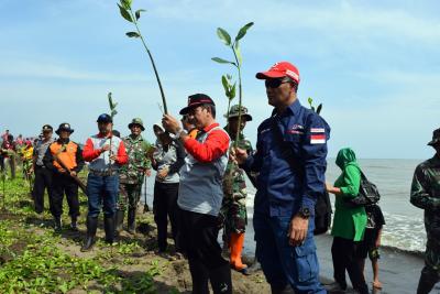 pmi-batang-tanam-1500-mangrove-di-pesisir-pantai-siklayu-gringising